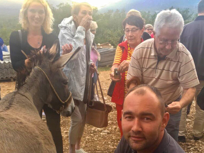Agricultural tour Croatia DMC - visit to donkey farm