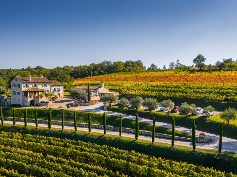 Agricultural Tours and programmes Croatia DMC