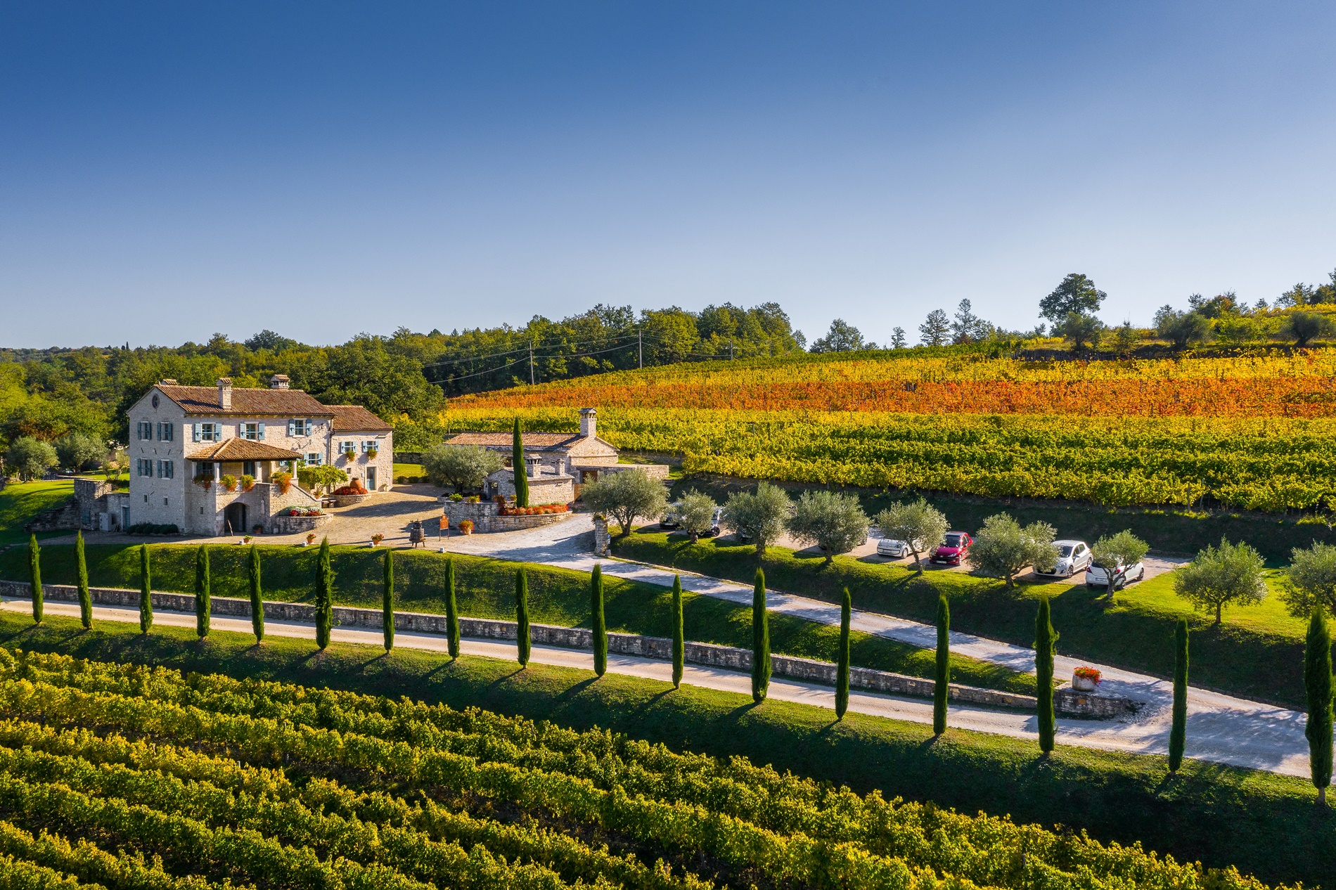 Agricultural Tours and programmes Croatia DMC